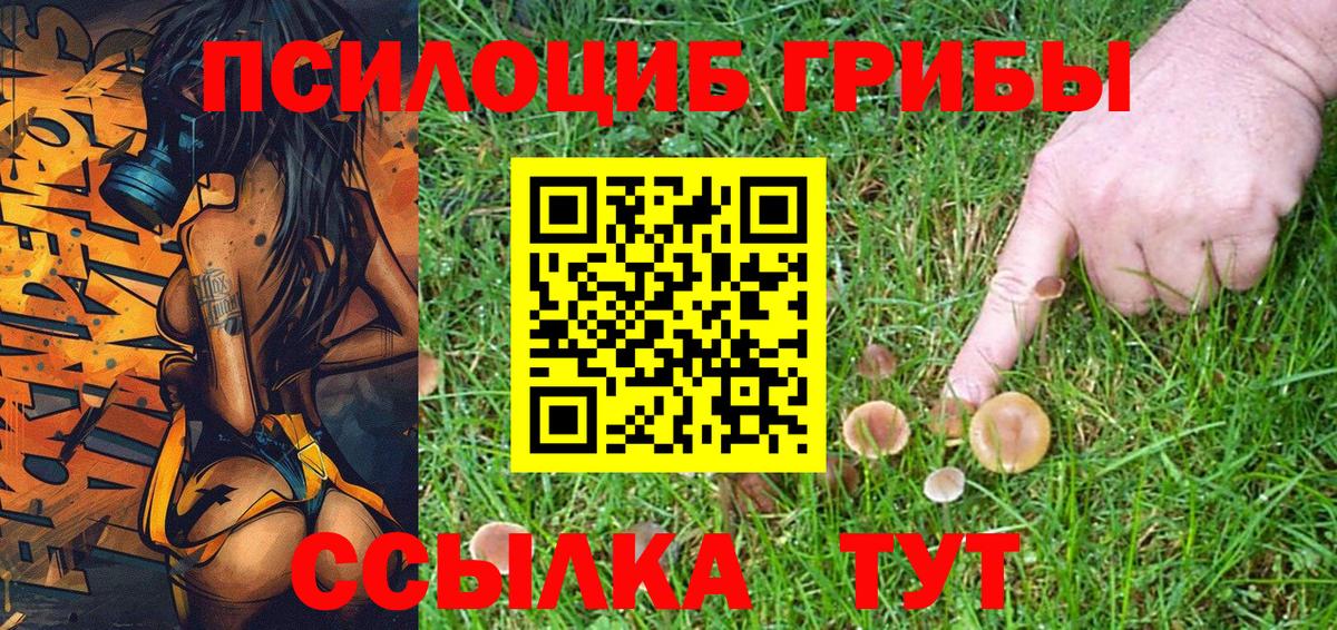 Псилоцибиновые грибы Psilocybe  Вход с VPN  Моршанск 