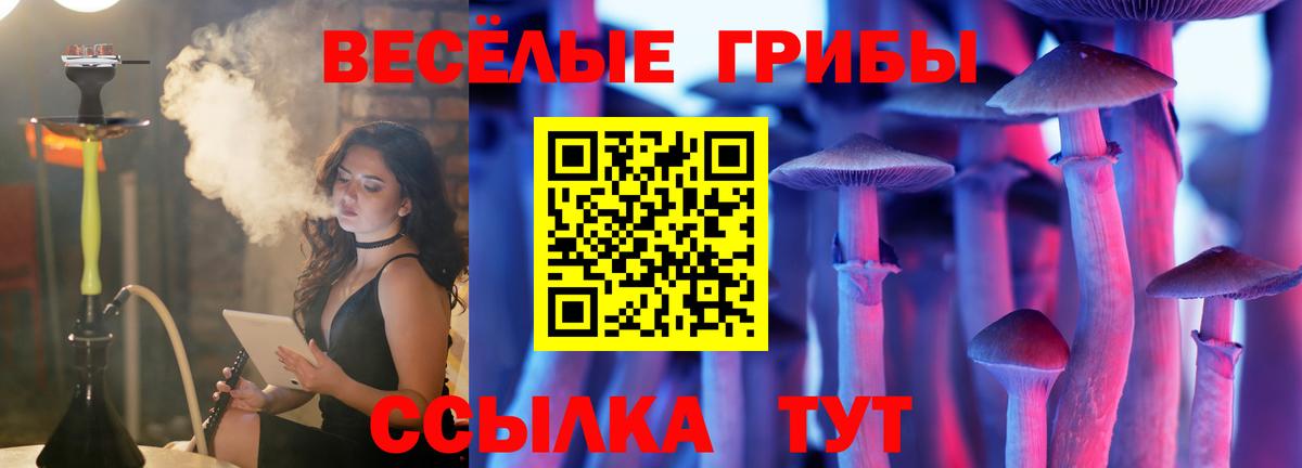 Псилоцибиновые грибы прущие грибы Моршанск